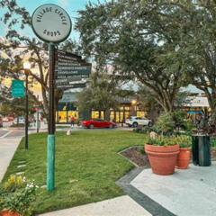 Best Things To Do In Hyde Park Tampa Tours Reviews