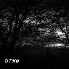 DTKØ - PODCAST #1