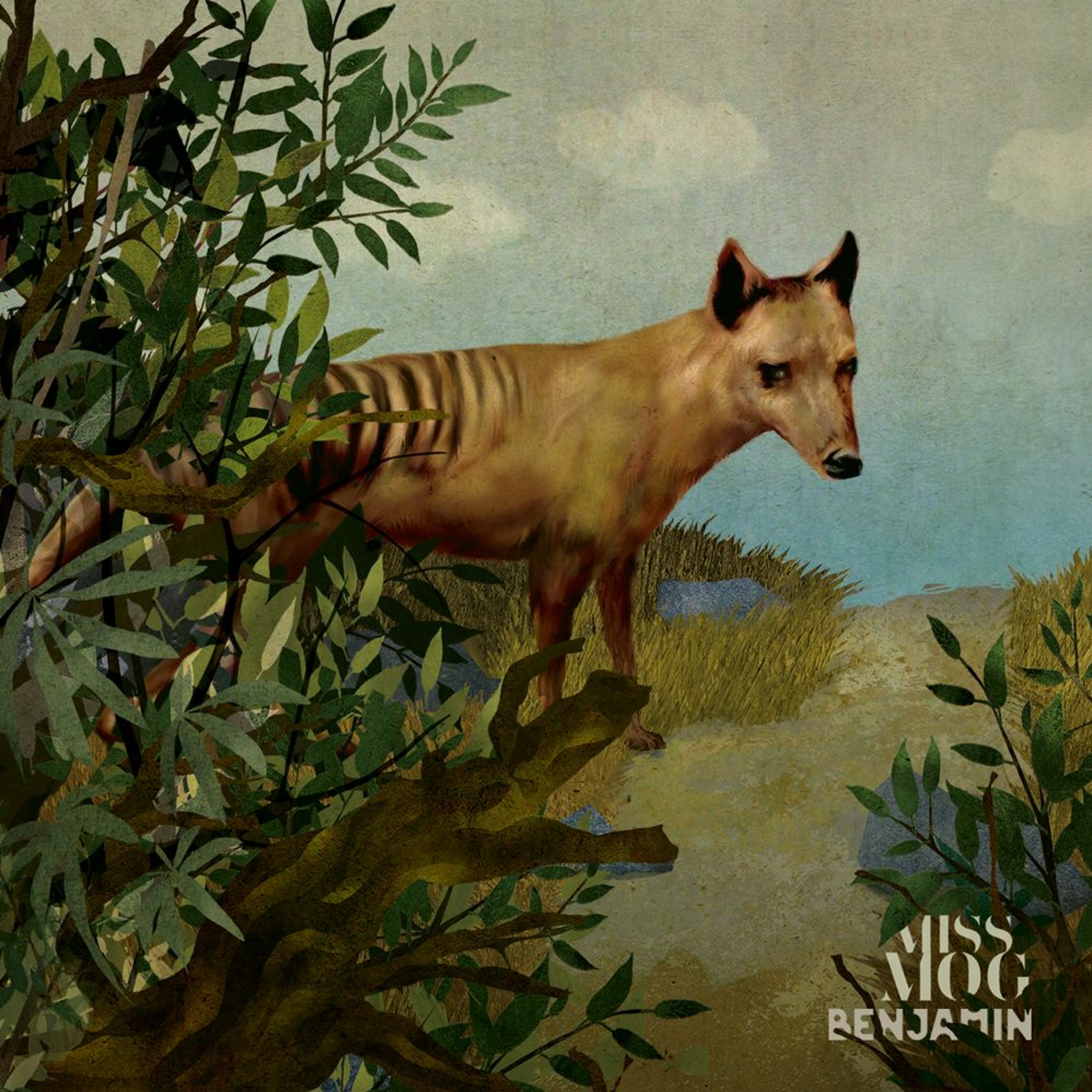 Meredith Levov, 1964 episode artwork