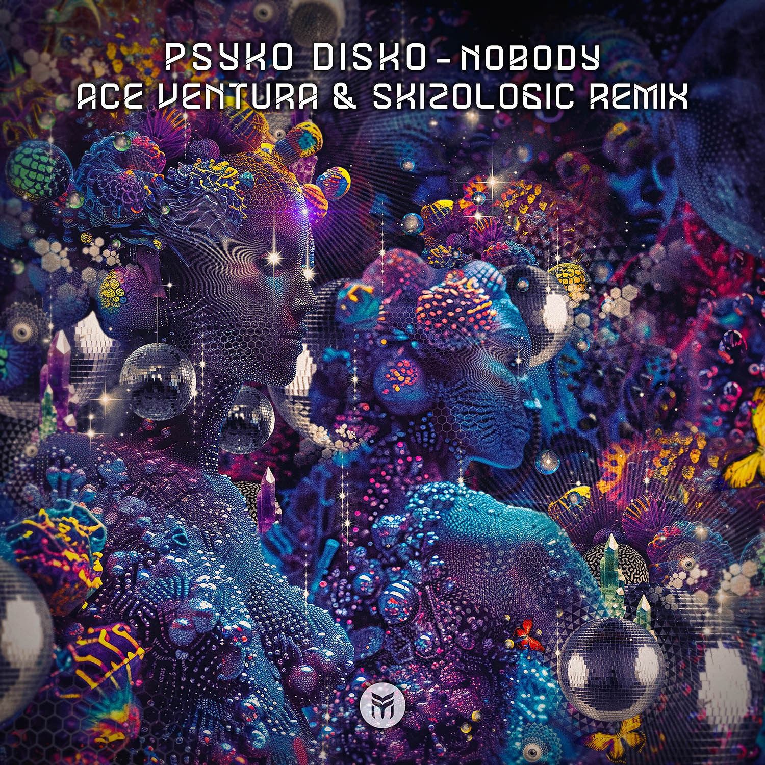 Psyko Disko – Nobody (Ace Ventura & Skizologic rmx) [Sample]
