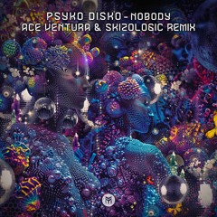 Psyko Disko - Nobody (Ace Ventura & Skizologic rmx) [Sample]