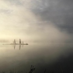 Untrimmable Light MK2