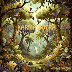 Karma Sutra Part 12 Mix By Squazoid