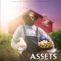 Assets (Fowl Coop)