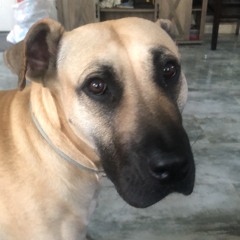 Ik you going through shit I understand