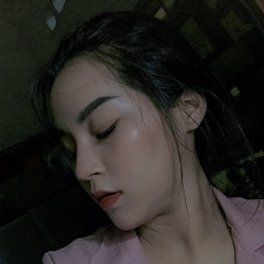 NST Vol 2 - Ai Mang Cô Đơn Đi Đi Đi - DIAMOND