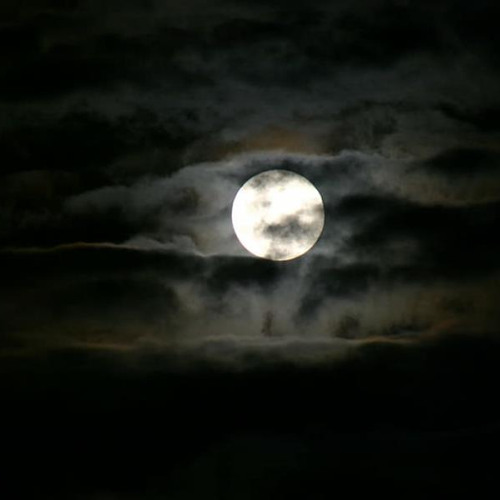 Sleeping Hummingbird - Kocmoc (H-K-S Remix)