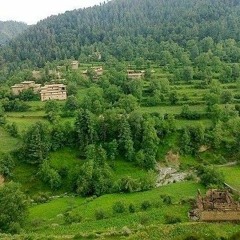 New_Pashto_Songs_2021|_Muskan_Wafa_|_Janan_Mi_Ye_Janan__|_Pashto_Latest_Song_2021(128k).mp3