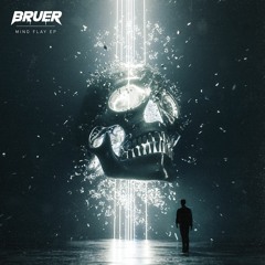 BRUER - Take You Higher