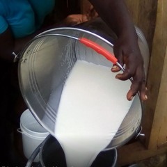 Meru County: Rural Prosperity through Dairy Farming