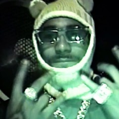 Z Like Loe  (p. Qwal!ty x Gyant)