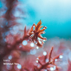 lowla - Without You