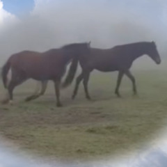 Some feelings last forever // MIXTAPE // B)Forever