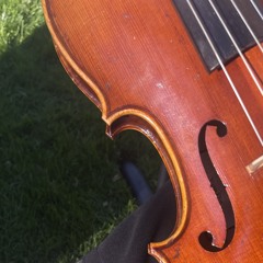 Eine Kleine Nachtmusik mm.1 (Mozart) - Sample