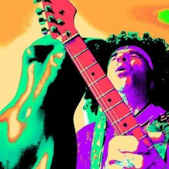 Venusian Night Life ...