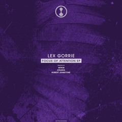 Lex Gorrie - Focus Of Attention (Herons Detroit Warehouse Remix)