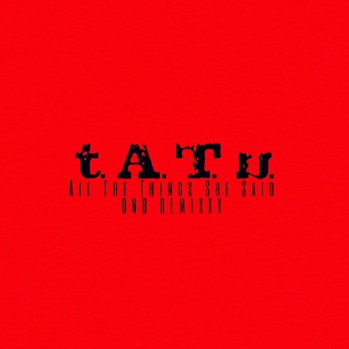 T.A.T.u. - All The Things She Said（dnb Remixxx）