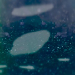 SnowflakeBirdsPaleSakura(NaviarHaiku378)