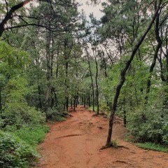 [FREE] Tabber x Cautious Clay x Frank Ocean Type Beat - "Natural" (Prod. $ky Wide)