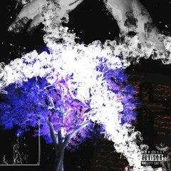 Bhertuy - The Perfect One [Ft. Roan].