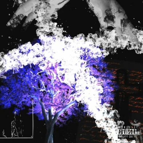 Bhertuy - The Perfect One [Ft. Roan].