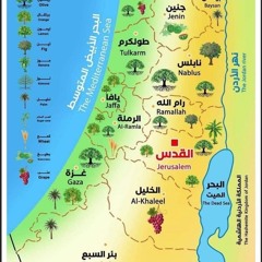 Adrenalin Occidental (ما بتحب الجاز).mp3
