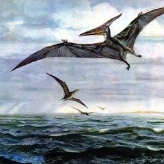 Pteradactylz