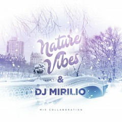 NatureVibes & DJ Mirilio - DeepSense Vol.4