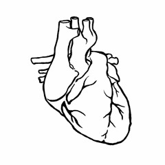 주름살(wrinkles)