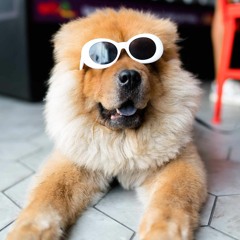 Early Morning Have Fun (122-138 BMP)