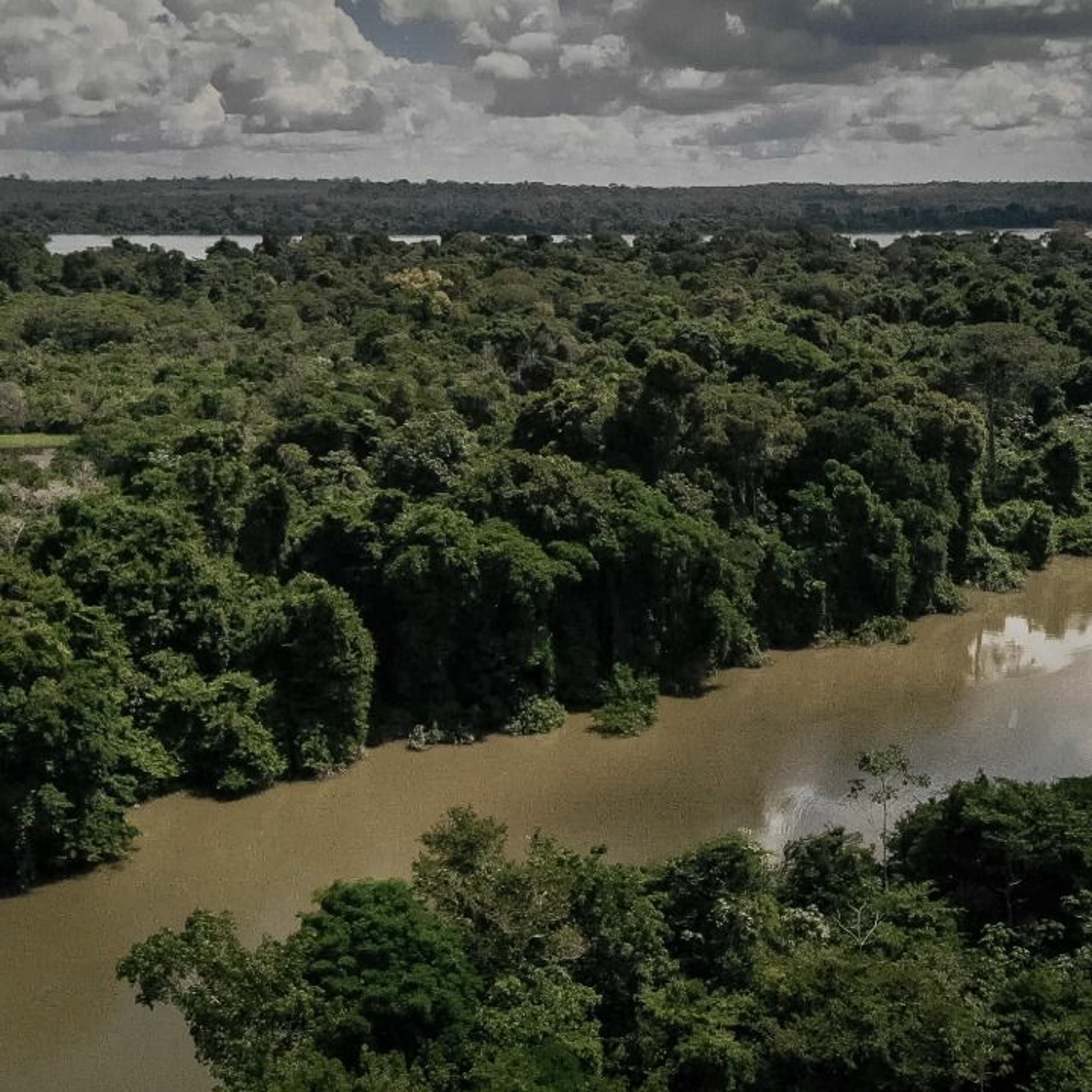 Projeto Saúde e Alegria