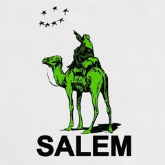 SALEM - CRISIS (slowed + bass)