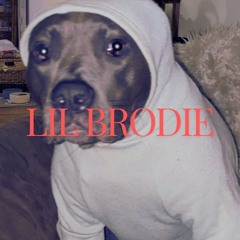 Lil Brodie (Single)