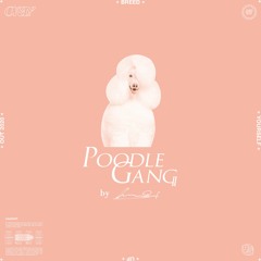 Poodle Gang #07