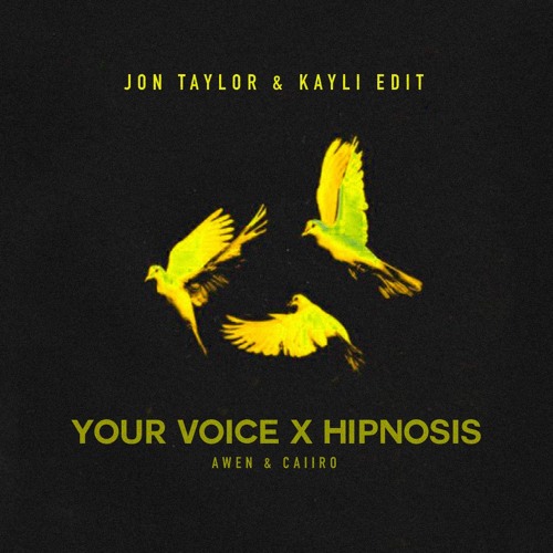 Awen & Caiiro - Your Voice x Hipnosis (Jon Taylor & KAYLI Edit) **Skip to 02:00**