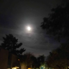 i wish i could change(sp0re)