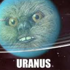 My Dog Went To a Bathroom and Never Came Back [NEO SOUL]