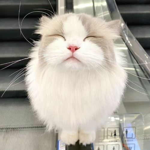 do you still think of me?