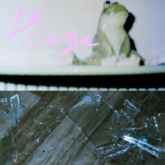 La Cage