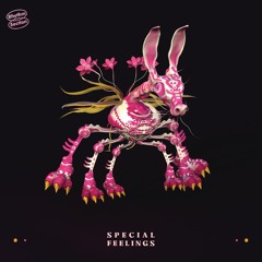 Special Feelings - Special Feelings LP [preview]