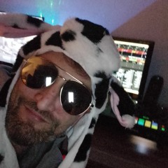 LivevomDeich#4