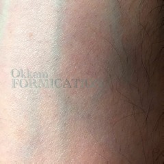 Okkam - A Bird In Hand (ORRM011)