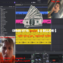 DEFINITELY NOT HEAVY MUSIC VOL. 4