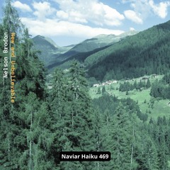Nelson Brodon - New And Unbelievable (NaviarHaiku 469)