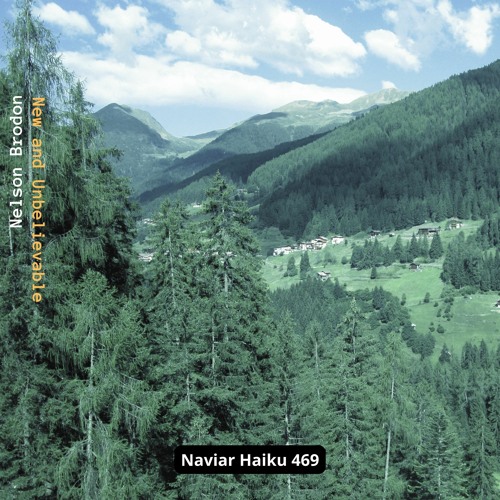 Nelson Brodon - New And Unbelievable (NaviarHaiku 469)