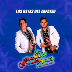 Besos Sin Amor (En Vivo)