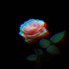 Ableton Project 1 Lofi Jazz Hop