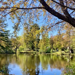 prada book bag (vona) [mv in desc]