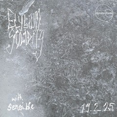elysium solidity #14 - w/ sensi.ble - 19.02.2025