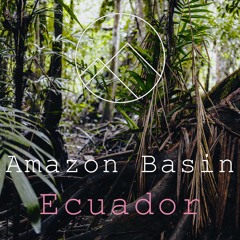Amazon Rainforest - 30 Minutes Of Unique Natural Soundscape